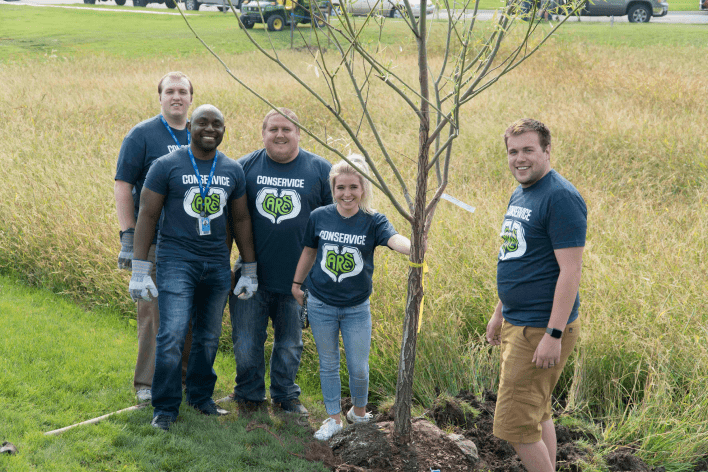 Conservice team planting tree
