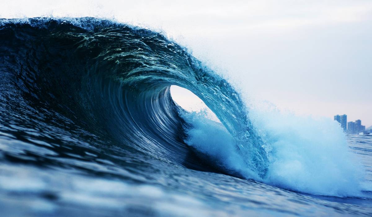 Riding the Wave of Change