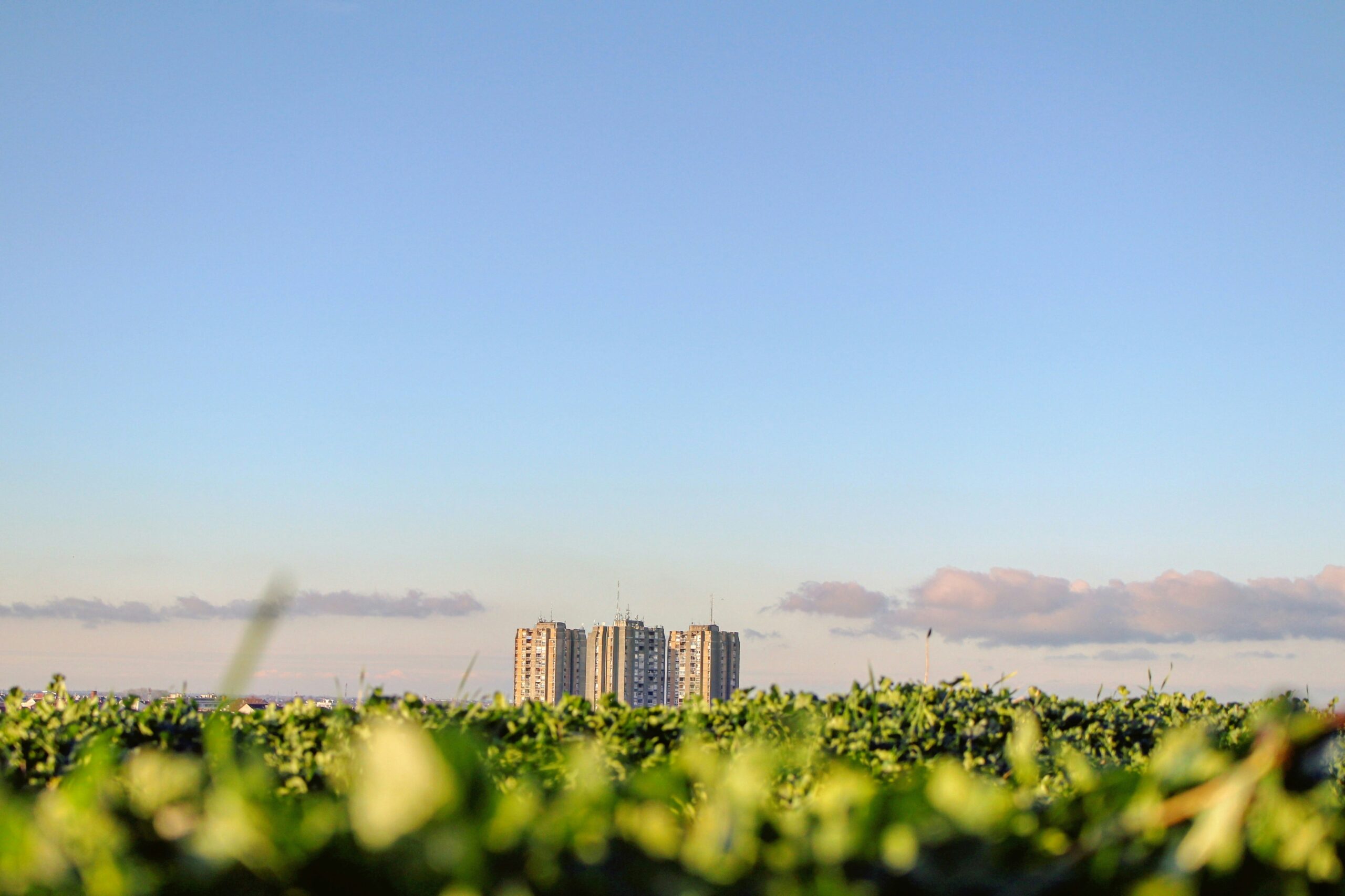 From Scores to Standards: ESPM’s Growing Impact on Compliance