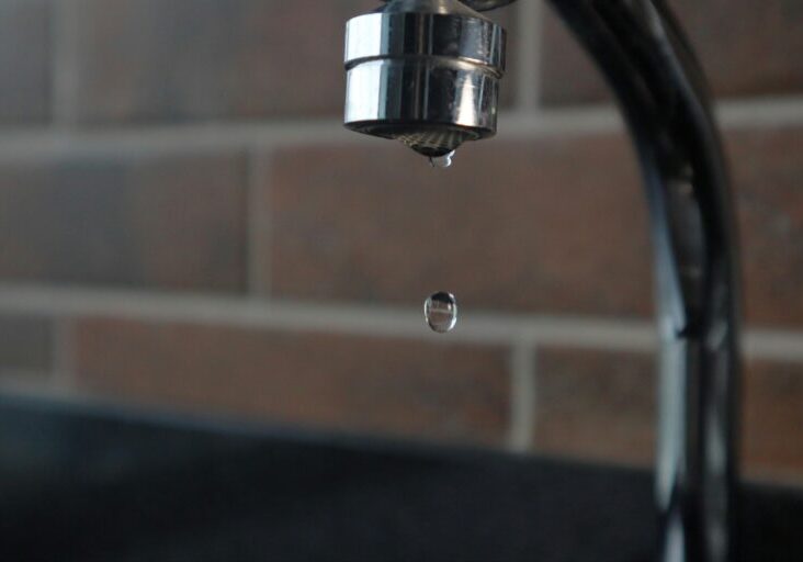 joao-paulo-carnevalli-de-oliveira-9CpziA2Z-Ks-unsplash